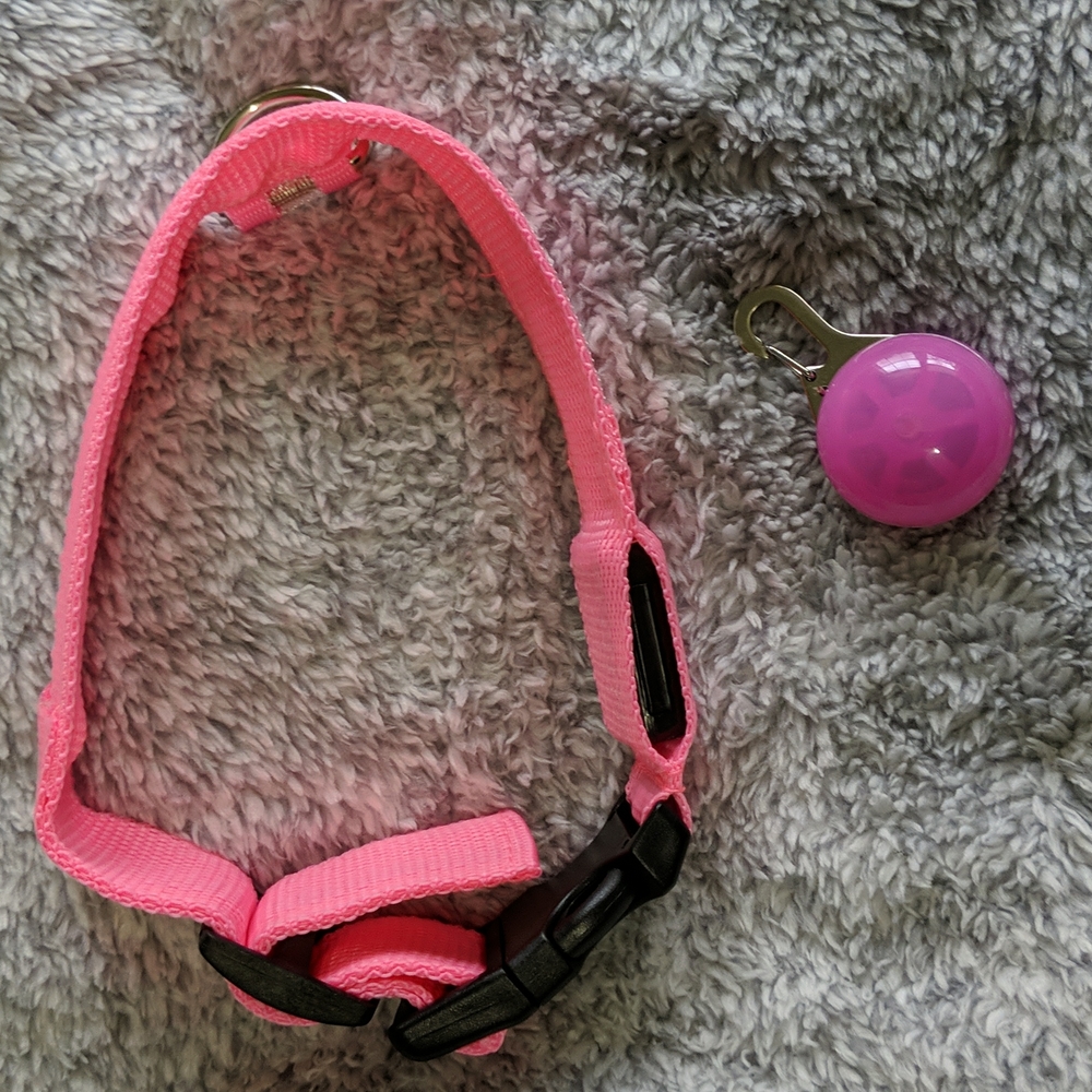 Light up Dog Collar and Dangle Light